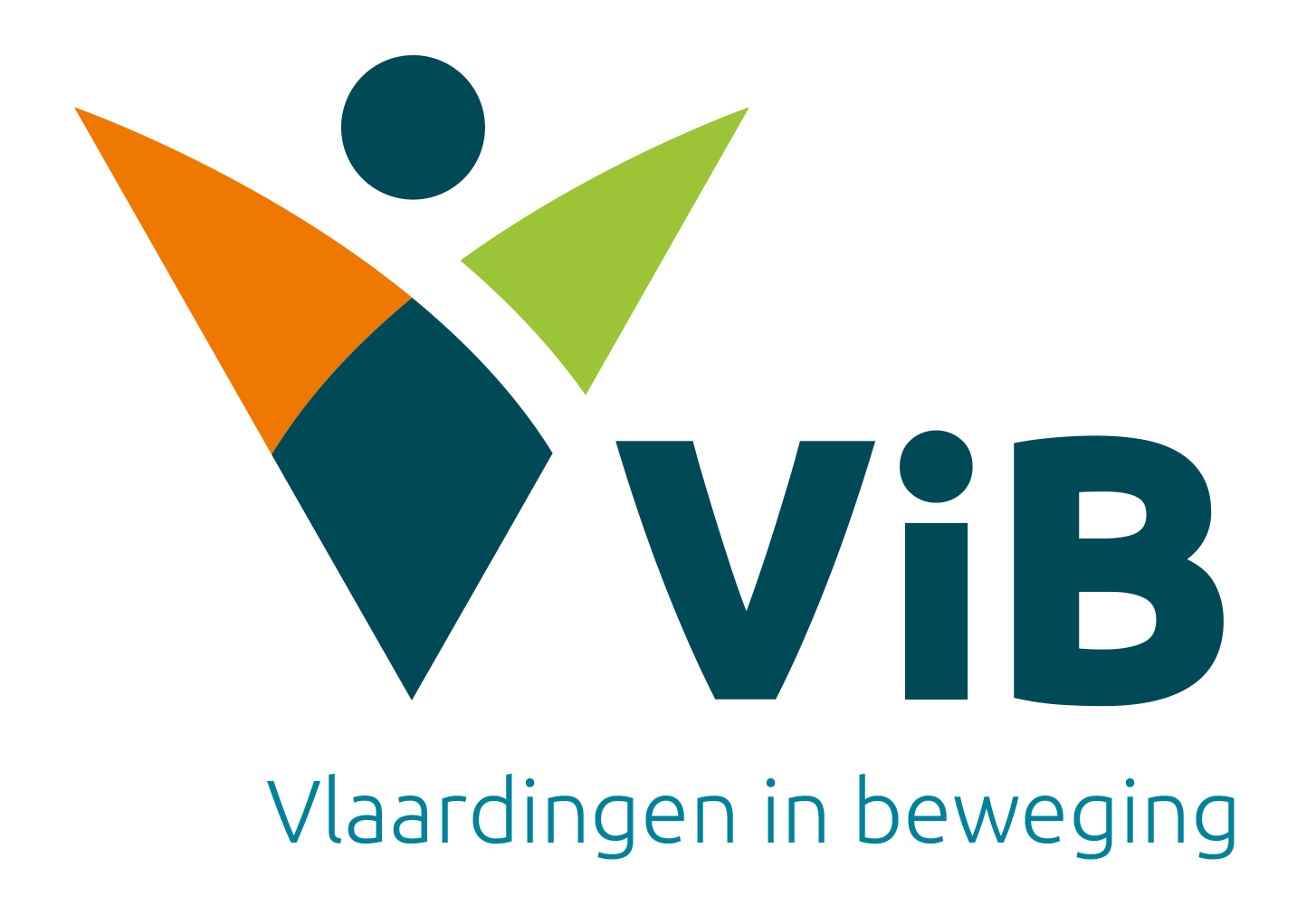 Vlaardingen in Beweging